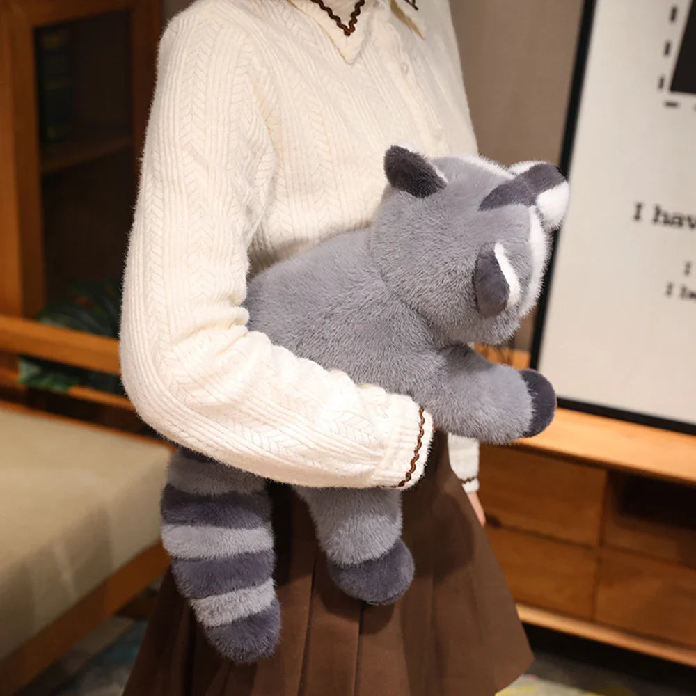 Raccoon