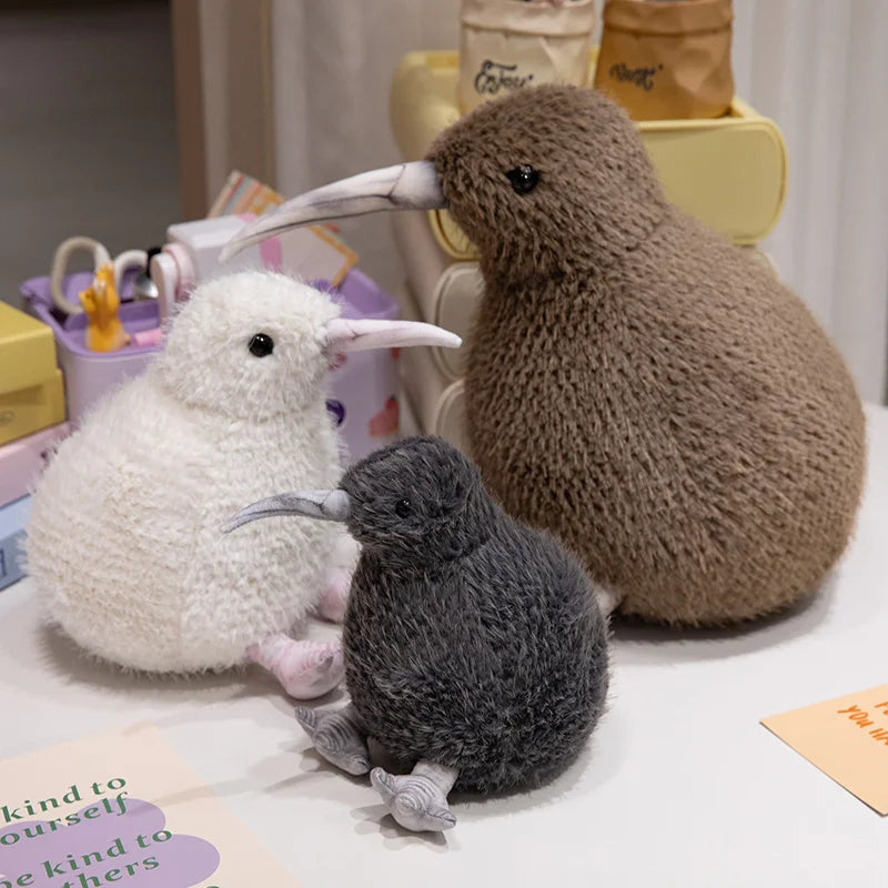 Kiwi Bird