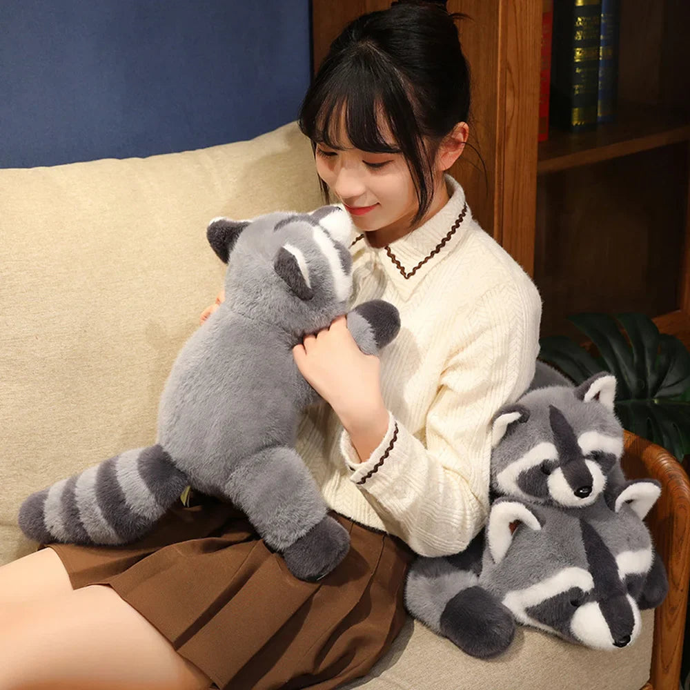 Raccoon
