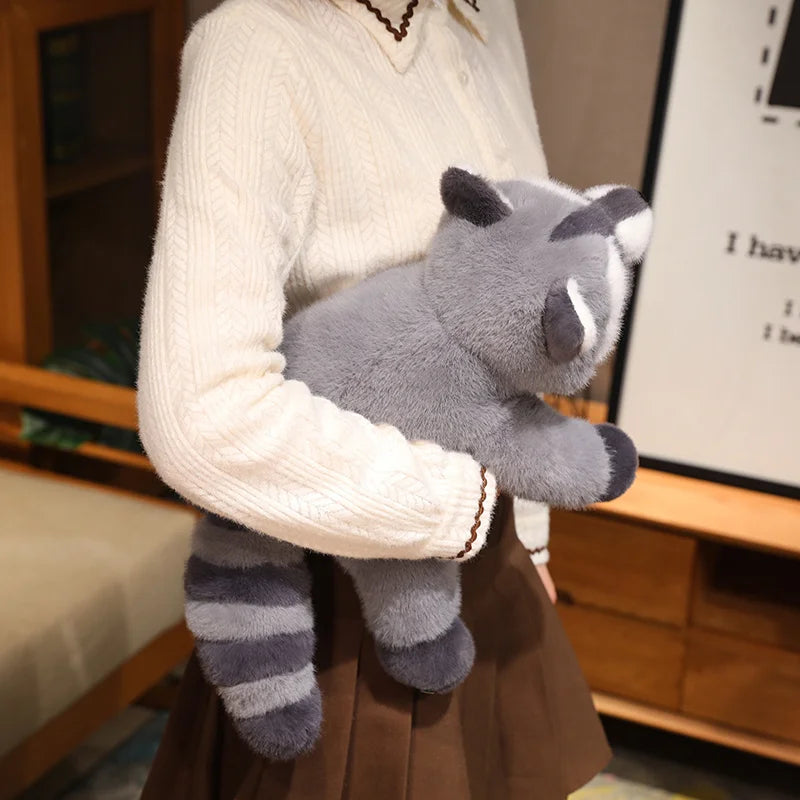 Raccoon