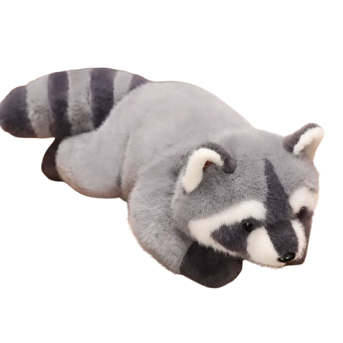 Raccoon