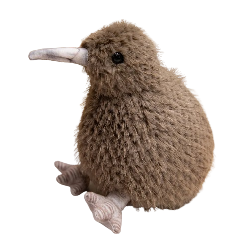 Kiwi Bird