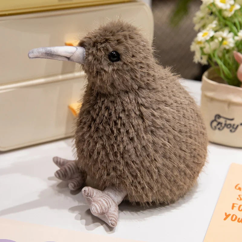 Kiwi Bird